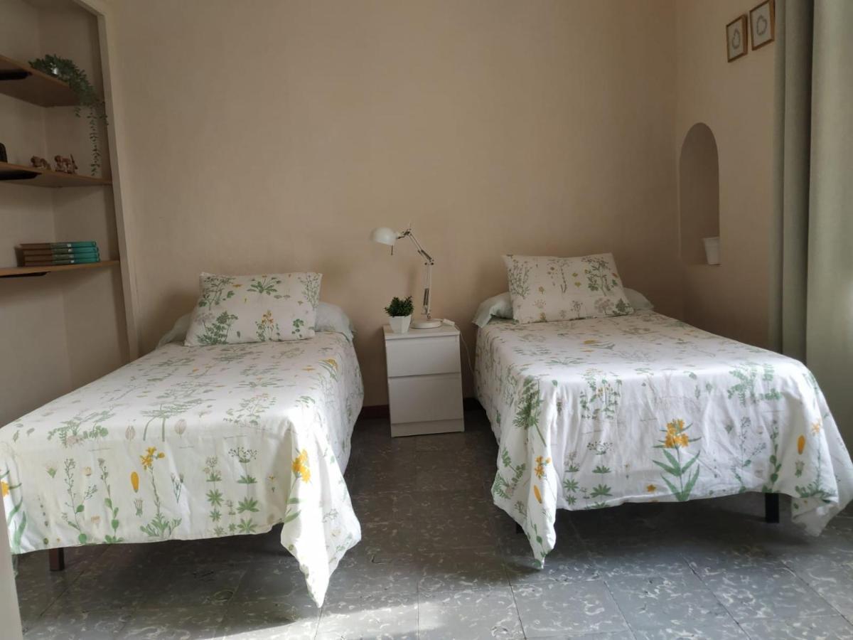 Alfacs Lägenhet Sant Carlos de la Ràpita Exteriör bild