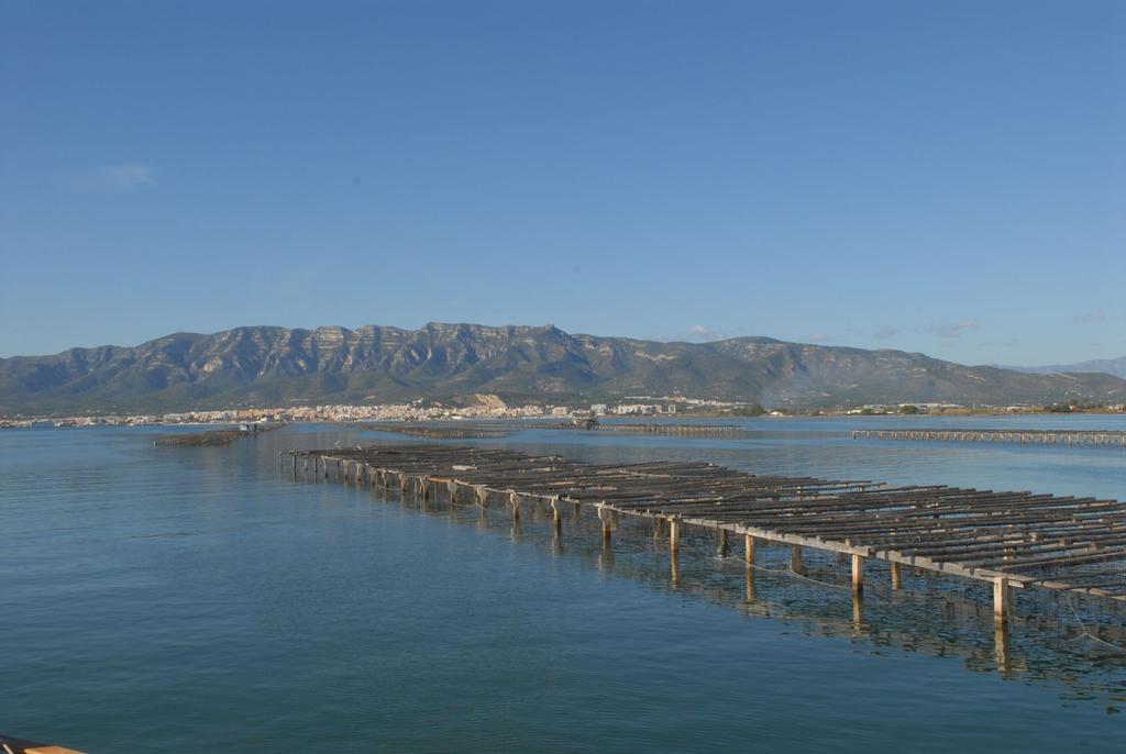 Alfacs Lägenhet Sant Carlos de la Ràpita Exteriör bild